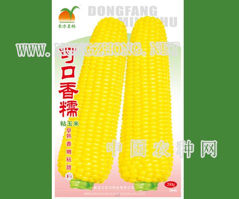 可口香糯